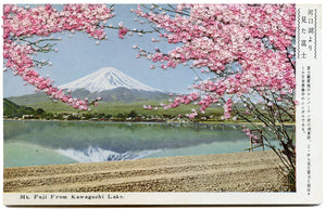 Cherry blossoms at Kawaguchi Lake