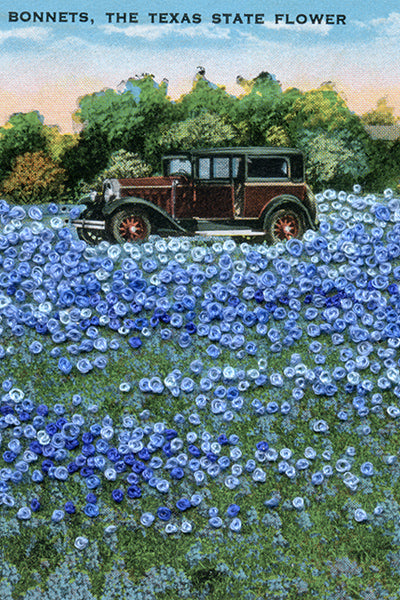 Picking bluebonnets