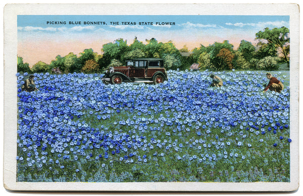 Picking bluebonnets