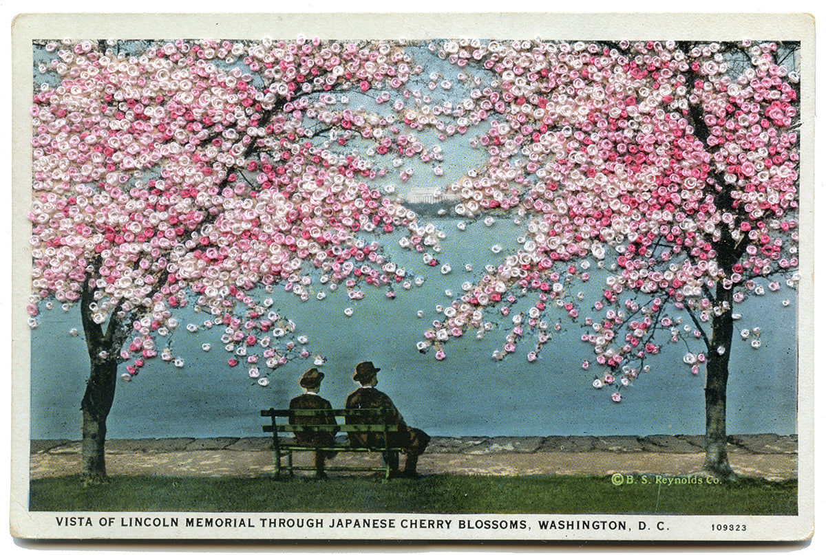 Vista of Lincoln Memorial through Japanese Cherry Blossoms