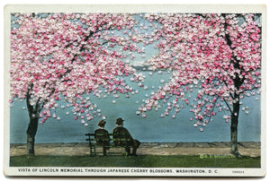 Vista of Lincoln Memorial through Japanese Cherry Blossoms