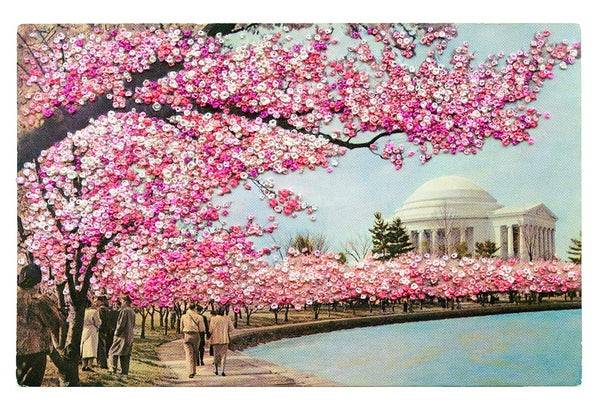 Amidst the Cherry Blossoms Print